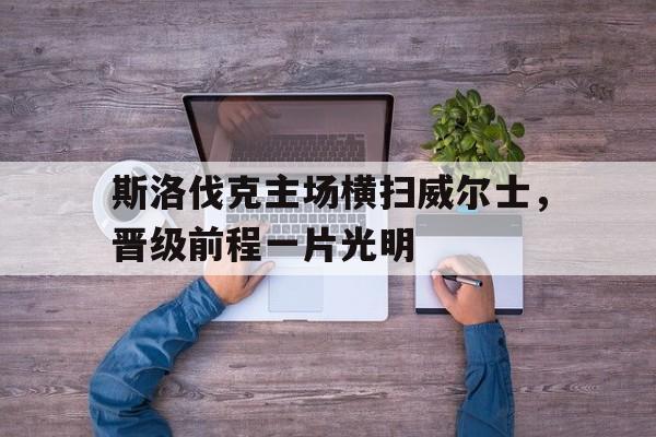 kaiyun开云体育-斯洛伐克主场横扫威尔士，晋级前程一片光明的简单介绍